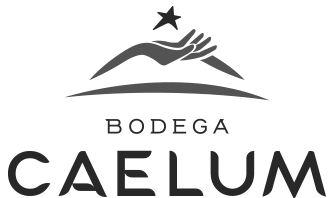 Bodega Caelum