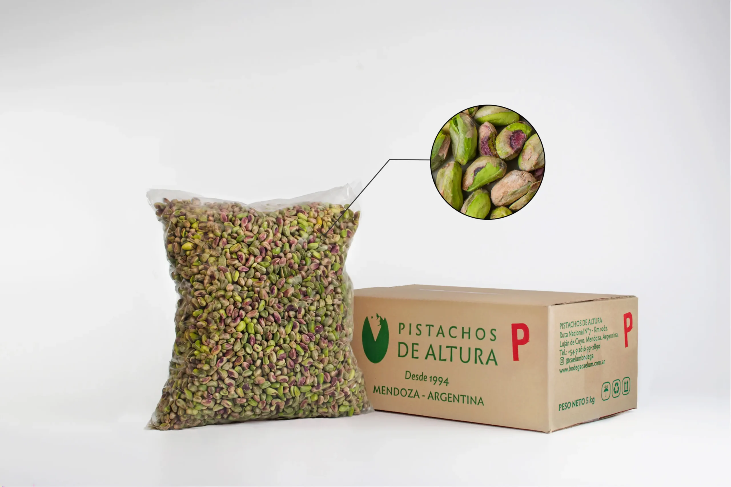 Pistacho sin cáscara sin sal (5kg)