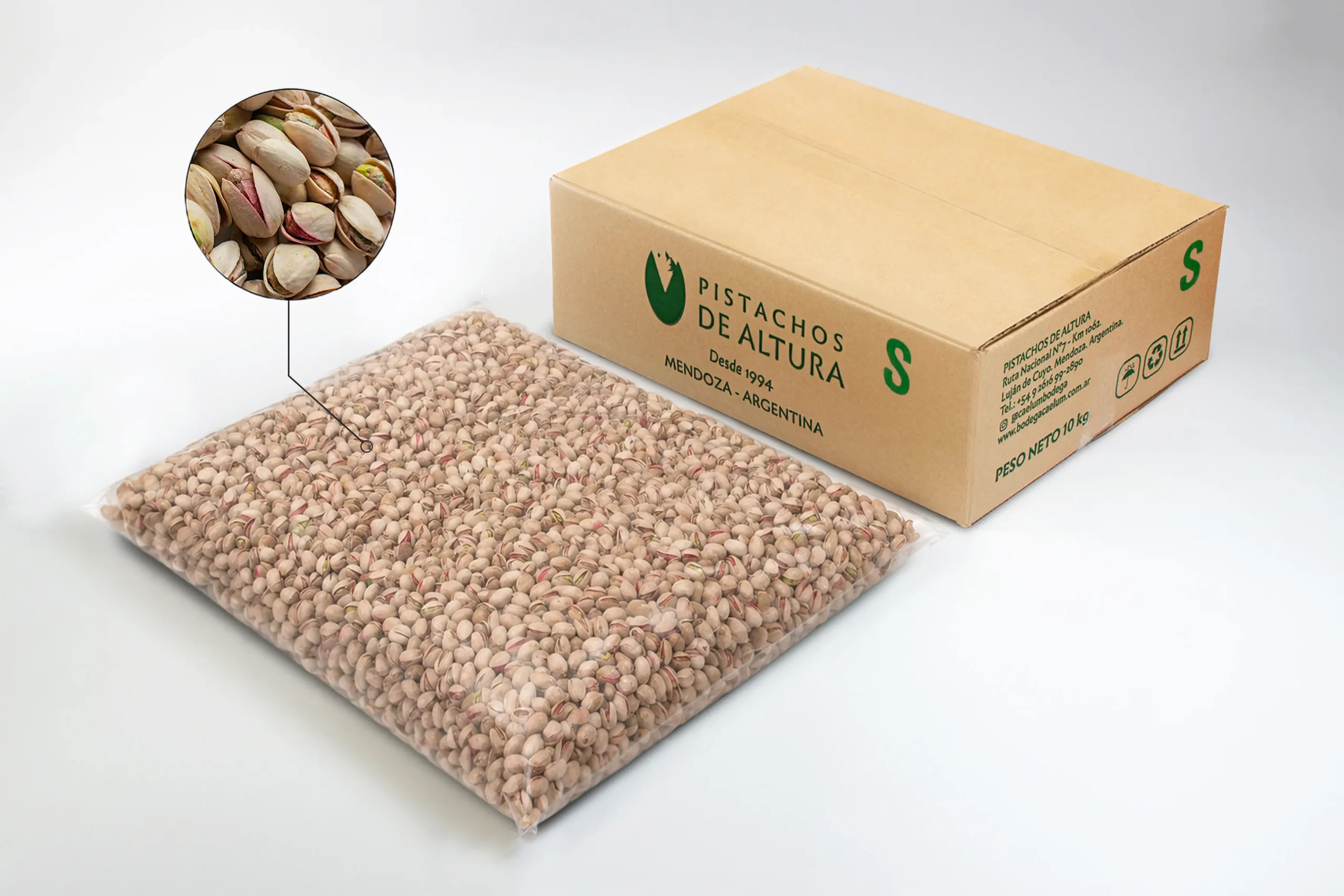 Pistacho con cáscara salado (10kg)