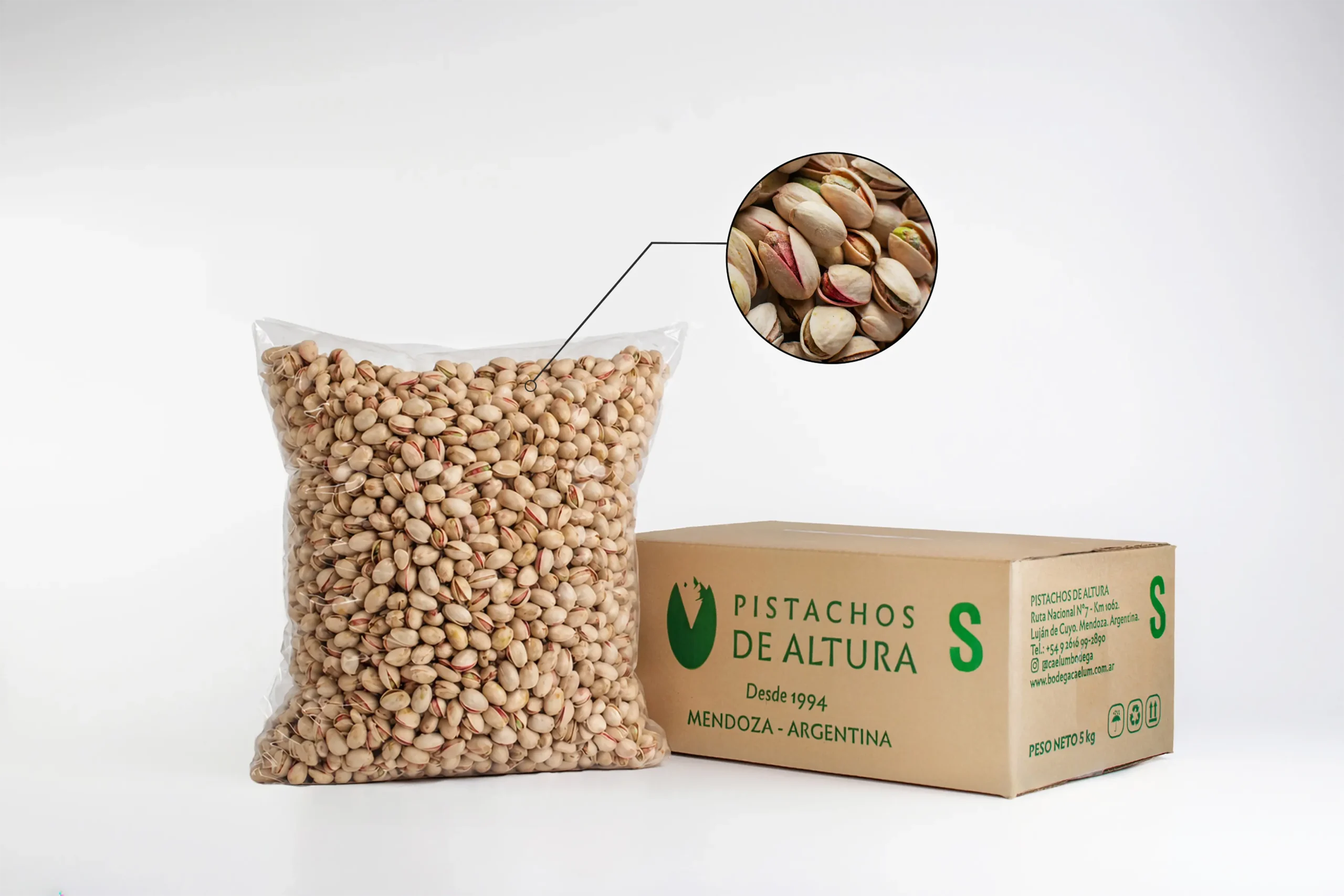 Pistacho con cáscara salado (5kg)